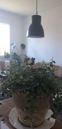 Apartamento La Belle Escale