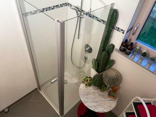 Limes Apartment -�bernachten Am Limes-