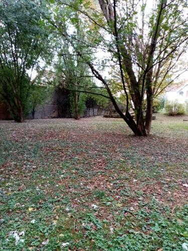 Apartamento Les Berges Du Lac