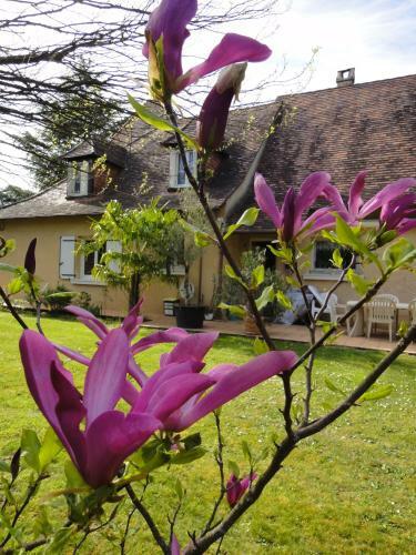 Hostal Le Tambourinet