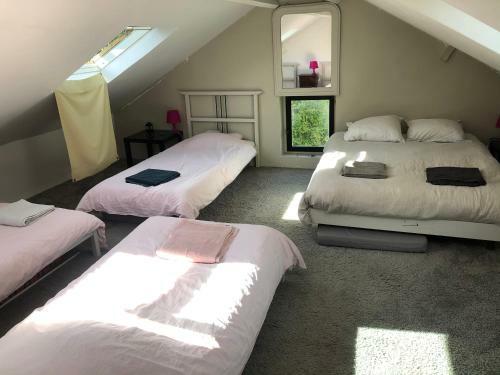 L'appel De La For�t 51