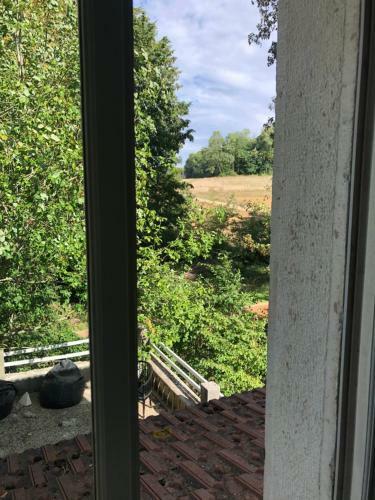 L'appel De La For�t 51