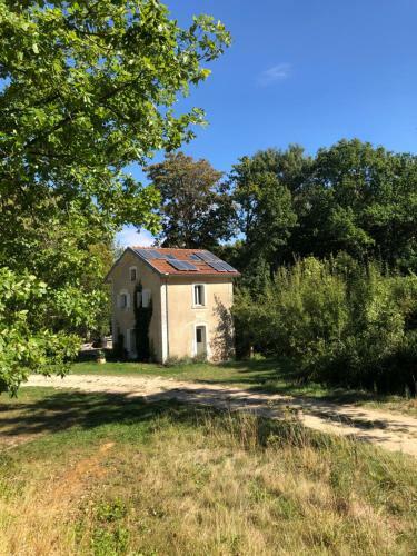 L'appel De La For�t 51