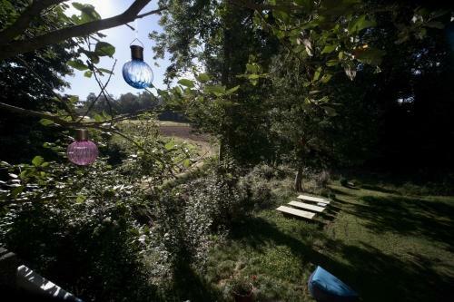 L'appel De La For�t 51