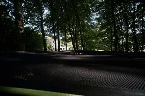 L'appel De La For�t 51