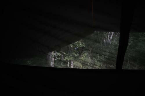 L'appel De La For�t 51