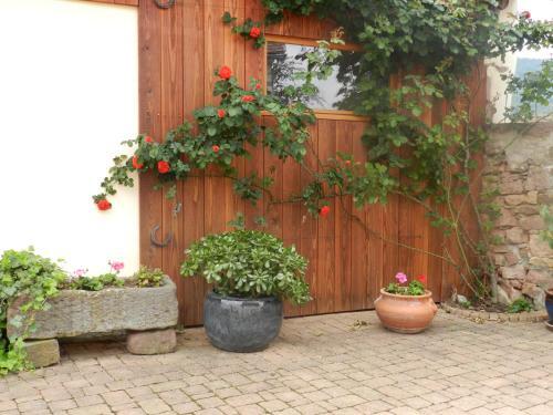 Apartamentos G�te Autonome, La Grange A Foin, Piscine !