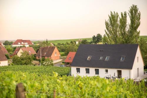 Apartamento Aux Pieds Des Vignes