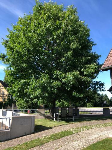 Apartamento G�te Du Ch�ne Climatis�