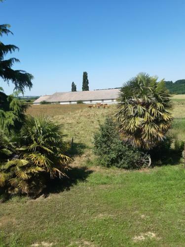 Bed & Breakfast Chambre Double Avec Piscine Et Jacuzzi