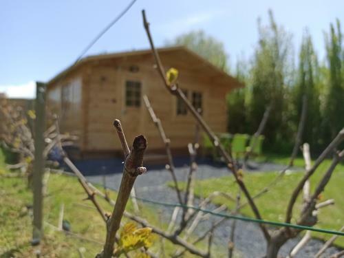 Gite Entre Mer Et Campagne Les Chalets Du Fliers