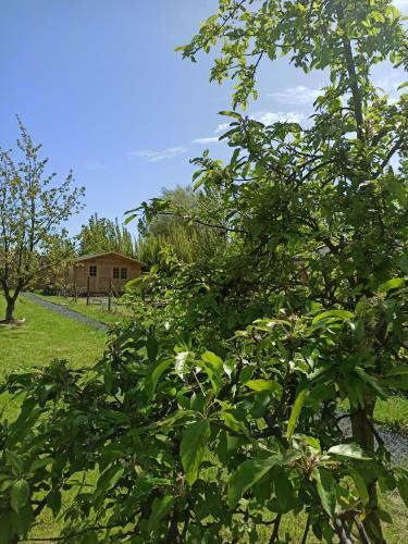 Gite Entre Mer Et Campagne Les Chalets Du Fliers