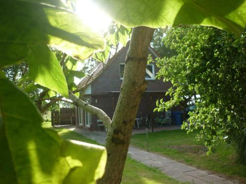Apartamento Ferienhaus Gro� Popkenhausen