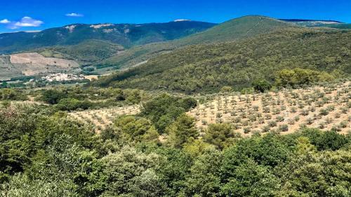 Villa Vallocchia - Sleeps 18 Exclusive Poolgrounds 2