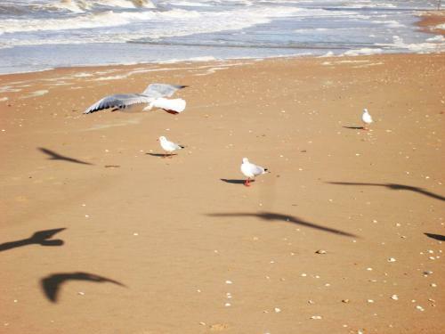 Bed & Breakfast La Romance Et La Romanesque