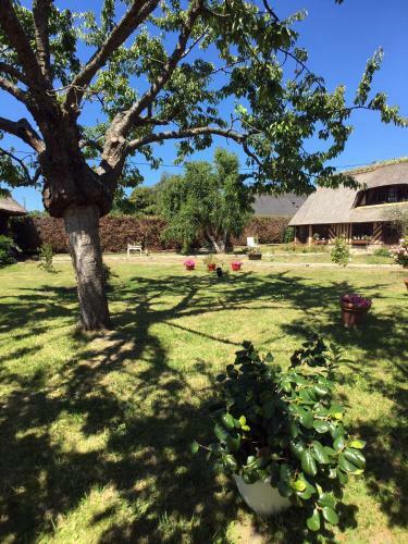 Bed & Breakfast La Romance Et La Romanesque