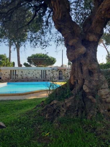 Villa Con Piscina Al Circeo