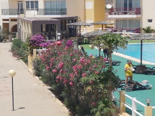 Apartamento Vista Oceano