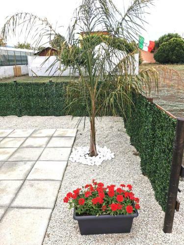 Apartamento Vesuvius Chalet Relax