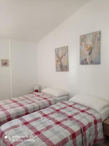 Apartamento Appartement Marghine