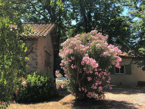 Bed & Breakfast Le Nid Des Corbi�res