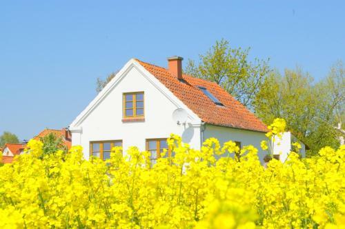 Historisches Inselh�uschen - Surfer/kiter/familien