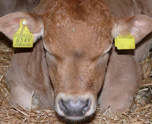 Apartamento Ban Hofa