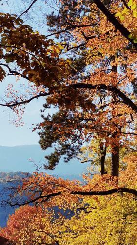 Apartamento Nina ? Parchi E Fiume