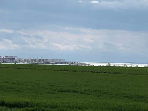 Apartamento Kleine Scholle