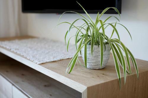 Apartamento Sommersbergerhof 2017