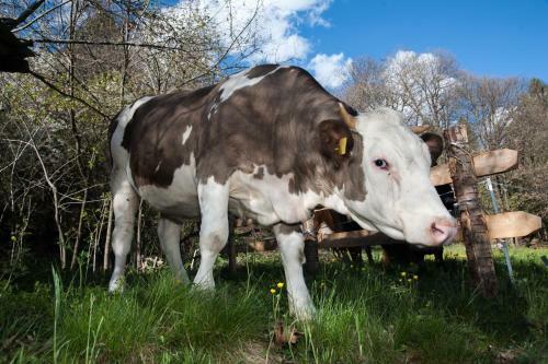 Agroturismo Agriturismo Luloc