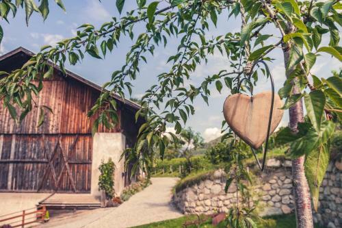 Apartamento Appartements Mayrhof