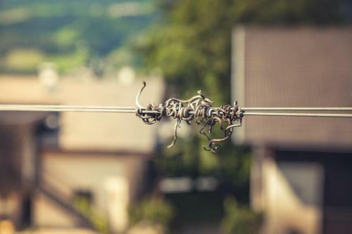 Apartamento Appartements Mayrhof