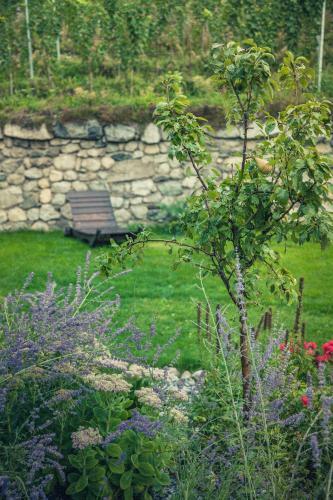 Apartamento Appartements Mayrhof