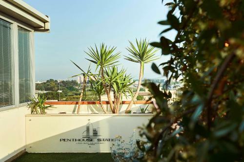 Hostal Penthouse Station Luxury Suites & Apts 2
