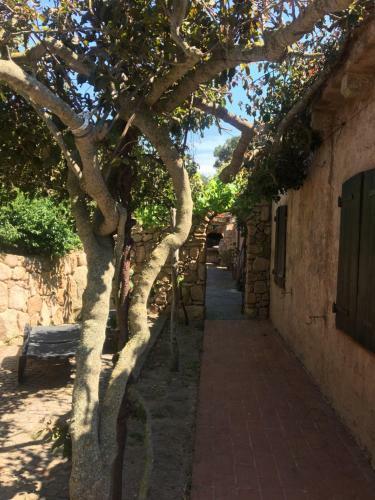Cottages Delle Costellazioni
