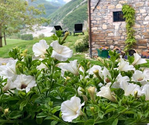Bed & Breakfast La Locanda Nel Vento