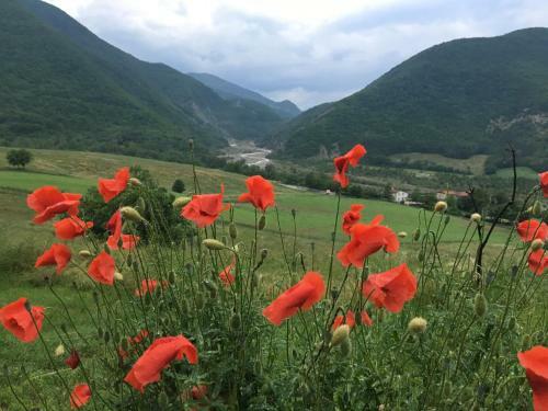 Bed & Breakfast La Locanda Nel Vento
