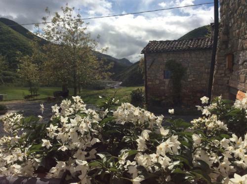 Bed & Breakfast La Locanda Nel Vento