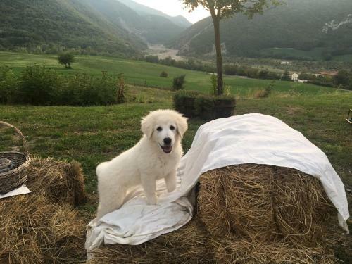 Bed & Breakfast La Locanda Nel Vento