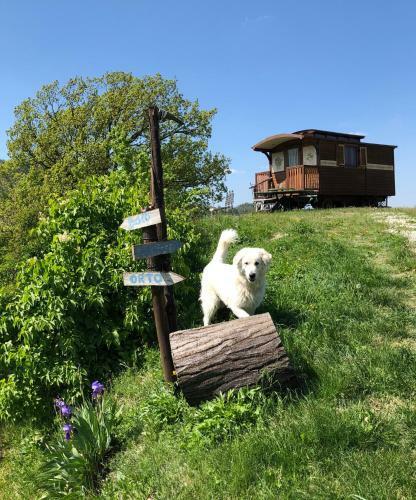 Bed & Breakfast La Locanda Nel Vento