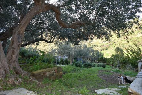 Apartamento La Casetta Nel Bosco