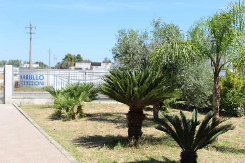 Calimera Apartments
