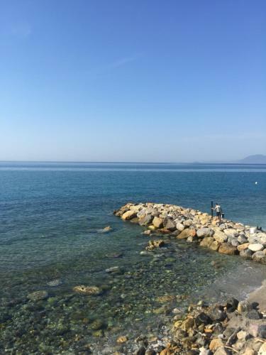 Bed & Breakfast Un Coccodrillo A Frassino