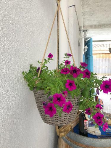 Bed & Breakfast Bnb Le Janas
