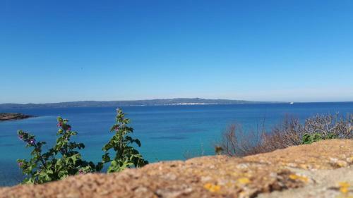 Villetta Tom 100 M Dalla Spiaggia