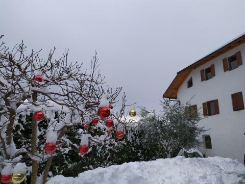 Apartamento Ferienwohnungen Luggin