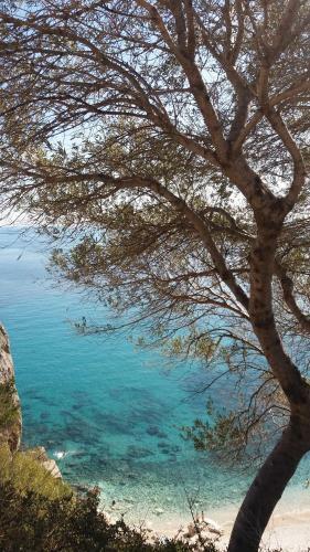 Apartamento Sa Dommo De Mammai