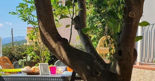 B&B Le Ginestre