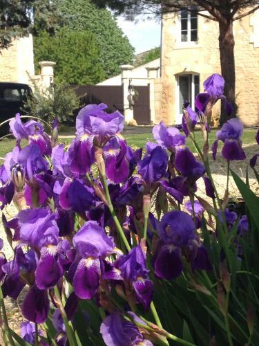 Bed & Breakfast Jardin D'arcy
